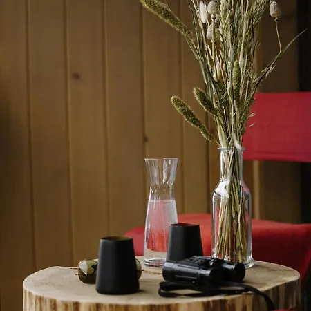 Bergwelt - Alpine Design جريندلوالد